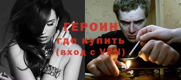 твердый Тайга