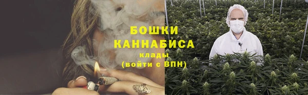 гидра Сясьстрой