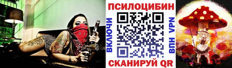 Купить  Старая Купавна  Галлюциногенные грибы MAGIC MUSHROOMS 